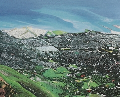 Port au Prince vista